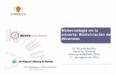 Biotecnología en la minería: Biolixiviación de Minerales · Aplicación BioSigma a Minerales de Cobre Sulfurados Mediana Minería Calcosina Covelina Digenita Bornita Enargita Calcopirita