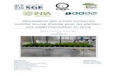 Valorisation des urines humaines comme source d’azote : une … · 2018-10-31 · Valorisation des urines humaines comme source d’azote: une expérimentation en serre 2 Ce stage