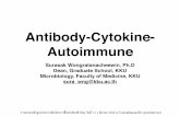 Antibody-Cytokine- Autoimmune - NVInvi.ddc.moph.go.th/Download/eCTD/Module 1/8 Mar/5... · Antibody-Cytokine-Autoimmune Surasak Wongratanacheewin, Ph.D Dean, Graduate School, KKU