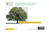 INIA Institunto Nacional de Investigacion y Tecnologia Agraria y … Institunto... · 2019-04-03 · •Gestión de Sistemas Forestales. •Cultivos y plantaciones forestales. •Protección