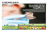 CIENCIAS · Ciencias El Magallanes, domingo 23 de septiembre de 2018 / 25 F Sigue en la P.26 GREENHILL COLLEGE ….UN NUEVO COLEGIO INGLES PARA PUNTA ARENAS ADMISION 2019 Talleres