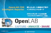OpenLAB CDS Intelligent Reporter...Neophyte Training Agilent Restricted June 2012 簡易レポート＋拡張パフォーマンスレポート 一枚のレポートに、 面積・高さなどの簡易レポートの