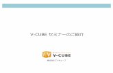 V -CUBE m |4 · ± V -cube USA, Inc. B T ] ¼ ¬C ± V -cube Global Services Pte. Ltd. B i ¥ ^ 4 C ± V -cube Global Operations Pte. Ltd. B i ¥ ^ 4 C ± V -cube Singapore Pte. Ltd.