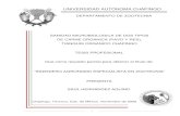 UNIVERSIDAD AUTÓNOMA CHAPINGO - Rita Schwentesius · 2015-03-06 · iii La presente tesis titulada “Sanidad Microbiológica De Dos Tipos De Carne Orgánica (Pavo Y Res), Tianguis