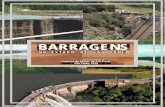 BARRAGENS - Governo do Estado de São Pauloarquivo.ambiente.sp.gov.br/publicacoes/2019/07/barragens...Barragens de usos múltiplos. 5. Barragens de rejeitos de mineração. 6. Barragens