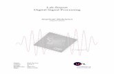 Lab-Report Digital Signal Processing · 2006-10-21 · 3 2. Introduction Over very many years Amplitude Modulation was the standard modulation scheme because of it’s easy and cheap