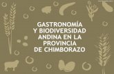 GASTRONOMÍA Y BIODIVERSIDAD ANDINA EN lA PROVINcIA DE … · GASTRONOMÍA Y BIODIVERSIDAD ANDINA en la Provincia de Chimborazo en la Microcuenca del Río Chimborazo. El presente