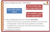 Cultura Organizacional - Definições€¦ · Cultura Organizacional - Definições 1 Duas visões sobre a Cultura É uma variável, algo que a organização tem. É uma metáfora,