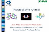 Metabolismo Animal - EVZ...Metabolismo Animal Alimentos - fonte dos nutrientes necessários ao organismo - Ingestão - Digestão - Absorção - Distribuição in natura ou processado