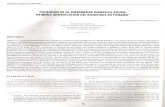 binsalpanama.files.wordpress.com · 2010-03-08 · la búsqueda de giardias y amebas, coprocultivos (Agar SS, Mac Conkey y XLD) y pruebas por rotavirus (Rotaclon@). Resultados: Se