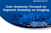 Liver Anatomy: Focused on Segment Anatomy on Imaginglivercancer.or.kr/file/general/general_12_25.pdfLiver Anatomy: General •Liver anatomy for diagnosis –Systematic dx based on