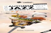 EN MARNE ET GONDOIRE · 2018-08-02 · 3 ÉDITO Fort du succès de ses deux premières éditions, le festival Automne Jazz en Marne et Gondoire ne s’arrête pas en si bon chemin