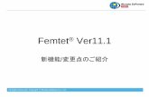 Femtet Ver11...All Rights Reserved, Copyright Murata Software Co., Ltd. CAD変換機能の新オプション 「CADトランスレータ」の提供開始 CAD変換機能として