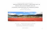 Proyecto Basico y de Ejecucion - Cabildo Insular de La Palma · pavimento sintético deportivo in situ, denominado bicapa, compuesta por una capa de caucho SBR granulado ligada con