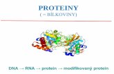 Prezentace aplikace PowerPointold-biomikro.vscht.cz/vyuka/bc1/Biochemie_I_3_bilkoviny_m.pdf · sterickými zábranami mezi atomy vlastní kostry polypeptidového řetězce a sterickou