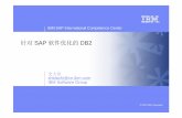 IBM SAP International Competence Centerftps.zdnet.com.cn/files/3/22691.pdf · 2011-08-02 · IBM SAP International Competence Center 2 ©2007 IBM Corporation 针对SAP 软件优化的DB2