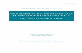 Condiciones del Contexto para el Emprendimiento en Chile ...negocios.udd.cl/files/2011/05/GEM-5-AÑOS-completo-FINAL.pdf · 1.4 El contexto para el emprendimiento y su importancia