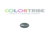 ColorTRIBE - BBcos · Requiere una previa aclaracion del fondo hasta el nivel 9 de FPR Rubio Clarissimo. • Con una brocha, aplicar el color puro sobre el cabello humedo (lavado