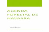AgENDA FORESTAL DE NAVARRA - Ademan · 2019-11-18 · AGENDA FORESTAL DE NAVARRA EJE 1: GOBERNANZA FORESTAL 11 OBJETIVOS DE LA GOBERNANZA FORESTAL La Gobernanza Forestal debe tener