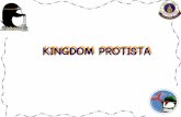 KINGDOM PROTISTAdeardean/pdf4ppt/biodiver/Protist_I.pdf · PROTISTA -> PROTIST Zoo like protists -> Protozoa Plant like protists -> Algae Fungi like protists -> Slime mold