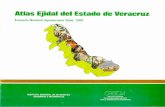 Atlas Ejidal del Estado deVeracruz - CORE · sobre el Estado de Veracruz. Entre las muchas posibilidades del SIG, una de las más evidentes o inmediata en las posibilidades de representar