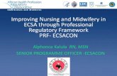 Improving Nursing and Midwifery in ECSA through ... · •Nursing and midwifery interventions include promotive, preventive, curative, rehabilitative and palliative care. •Nurses