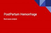 PostPartum Hemorrhage · ANC 5 times , Hct - 31.6 % , Lab ปกติ U/D : none , MEDICATION : none , การคลอดในครรภ ก อน -none ภาวะแทรกซ