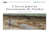 Claves para laTaxonomía de Suelos · 2017-05-24 · La publicación de las Claves para la Taxonomía de Suelos sirve para dos propósitos. Proporcionar las claves taxonómicas necesarias