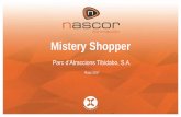 Mistery Shopper - Barcelona€¦ · TIBIDABO: Mistery Shopper ¿Cómo nos hemos organizado? ¿Qué hemos evaluado? Análisis interno Organización por recursos Organización por grupos