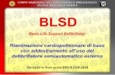 BLSD - CAI Campania...Secondo le linee guida ERC/ILCOR 2010. OBIETTIVO E STRUTTURA ACQUISIRE ... ALGORITMO DI TRATTAMENTO. ... Pediatric Basic Life Support Defibrillator Secondo le