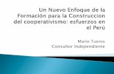 Consultor Independienteccc-ca.com/blog/wp-content/uploads/2011/06/Tueros-Mario-Educ-y-C… · •Asistencia técnica •4 cursos •Transversales •Diplomados •Registro de proveedores