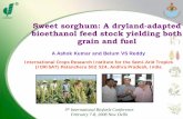 Sweet sorghum: A dryland-adapted bioethanol feed stock ... · Sweet sorghum: A dryland-adapted bioethanol feed stock yielding both grain and fuel A Ashok Kumar and Belum VS Reddy