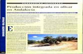 Producción integrada en olivar en Andalucía · En todos los sistemas agrícolas, la producción es función de las disponibilidades de agua y de la cantidad de radiación solar