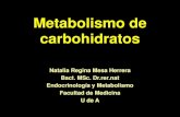 Metabolismo de carbohidratosmedicina.udea.edu.co/emd/metabolismo/carbohidratos/COH-4-2010-2.pdfMetabolismo de carbohidratos Natalia Regina Mesa Herrera ... Glucólisis 2. Gluconeogénesis