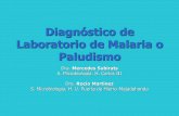 Diagnóstico de Laboratorio de Malaria o Paludismo de paludismo... · Algunos hematíes infectados son ovales y/o desflecados Infecta hematíes jóvenes (reticulocitos). Parasitemia