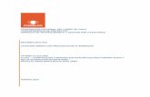 RESUMEN EJECUTIVO LICITACIÓN ABIERTA CON …prontus.codelco.cl/prontus_codelco/site/artic/20200228/... · 2020-02-28 · corporaciÓn nacional del cobre de chile vicepresidencia