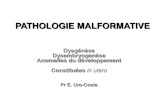 Pathologie malformative - Freep2r0910.free.fr/dl/Roneos D1 (1er quad)/13 - Semaine 06-12/malform… · malformation rénale et cardiaque, hernie diaphragmatique, omphalocele. Les