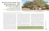 Reforestando los bosques de huarango · 2015-05-06 · las culturas precolombinas le dieron a es-tos. Los restos precolombinos de plantas revelan que la vida de la población depen