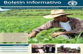 Boletín inormativo...y México, con el apoyo de la Organización de las Naciones Unidas para la Alimentaión y la Agricultura (FAO),buscan mecanismos que les permita luchar contra