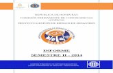 INFORME SEMESTRE II - 2014 - PGRD€¦ · REPÚBLICA DE HONDURAS COMISIÓN PERMANENTE DE CONTINGENCIAS (COPECO) CRÉDITO AIF No. 5190-HN PROYECTO GESTIÓN DE RIESGOS DE DESASTRES