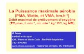 La Puissance maximale aérobie · 2016-01-07 · La Puissance maximale aérobie (PMA, Watts, et VMA, km.h-1) Débit maximal de prélèvement d’oxygène (VO 2max, L.min-1, mL.min-1.kg-1
