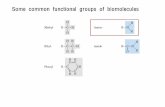 Some common functional groups of biomoleculescontents.kocw.net/KOCW/document/2014/gangwon/jujinho/2.pdf · 2016-09-09 · functional groups of biomolecules . Amino Acid . 20 common