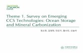 Theme 1. Survey on emerging CCS technologies: ocean storage …energy.ewha.ac.kr/menu_lectures/CESE_UG_CCS/19SS/3. Team... · 2019-06-02 · of serious or irreversible damage, lack