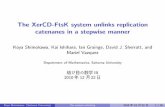 The XerCD-FtsK system unlinks replication …ichihara/Knots2010/Slides/...The XerCD-FtsK system unlinks replication catenanes in a stepwise manner Koya Shimokawa, Kai Ishihara, Ian
