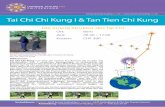 Tai Chi Chi Kung I & Tan Tien Chi Kung€¦ · Tan Tien Chi Kung ist eine der besten taoistischen Chi Kung Praktiken und entwickelt durch bestimmte Positionen und Atemübungen die
