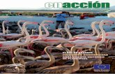 VOLUNTARIADO AMBIENTAL€¦ · Programa de Voluntariado Playa de Levante 11 A FONDO • Plan de Recuperación y Conservación de Invertebrados Amenazados y Fanerógamas del Medio
