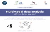 Multimodal data analysis: Etienne CAMENEN a Shiny & Galaxy ... · JOBIM, Nantes, July 4th, 2019 Objectives IntegrParkinson: developing graphical interfaces for RGCCA (Regularized