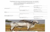 PROGRAMA NACIONAL DE MELHORAMENTO DO GIR LEITEIRO …girleiteiro.org.br/arquivos/1639.pdf · programa nacional de melhoramento do gir leiteiro pedigree de touro em teste de progÊnie
