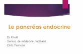 Le pancréas endocrineuniv.ency-education.com/.../1/...endocrino-6pancreas_endocrine_kheli… · LE PANCREAS ENDOCRINE: Localisé partiellement derrière l’estomac Glande mixte: