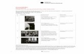 Pressebilder - Stiftung Schloss Neuhardenberg · Cecil Beaton bei der Arbeit im Pariser Vogue-Studio, um 1935 Urheberrechte am Werk erloschen 3 Erich Salomon Damen der amerikanischen